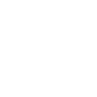 100% Vegan Certificate